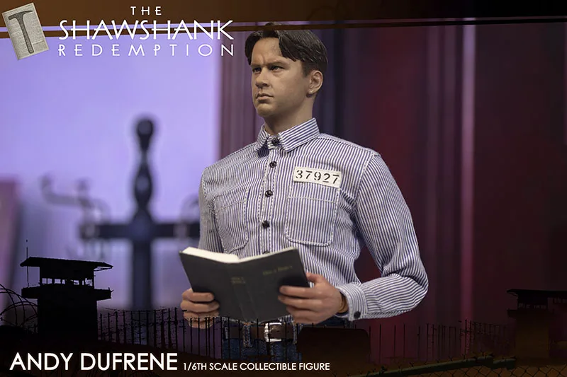 Daftoys 1/6 Shawshank Andy Dufresne kostium ubrania zestaw z głową Sculpt mądry bankier Andy dla 12 "figurka ciało zabawka