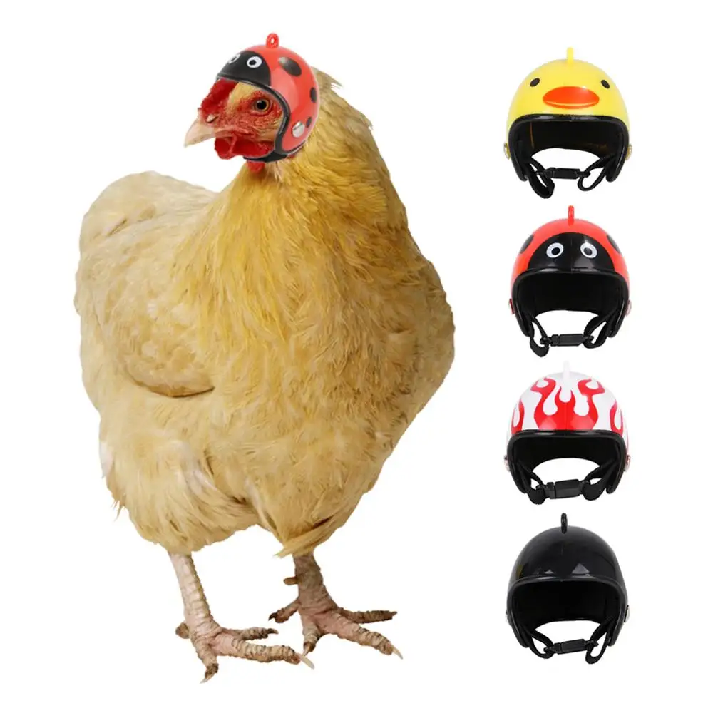 Casco de pollo para mascotas pequeñas, casco duro para pájaros, pato, codorniz, suministros para mascotas, 1 piezas