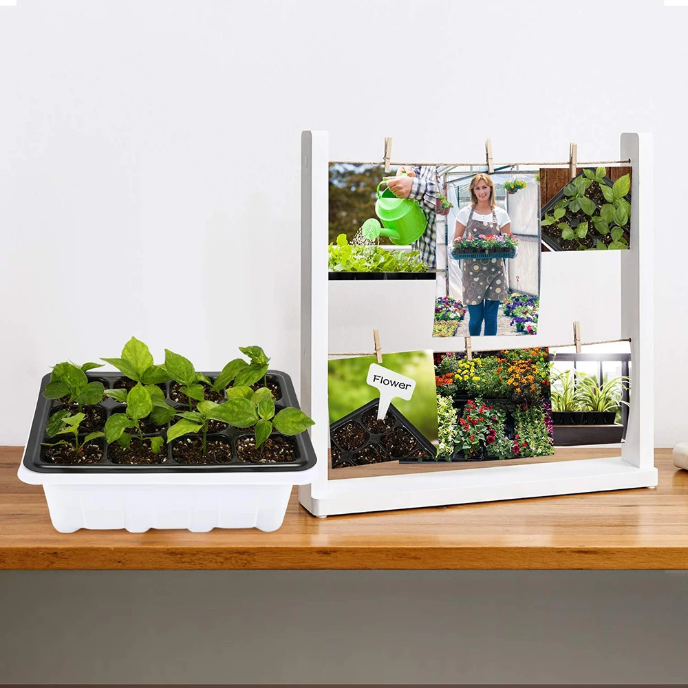 2PCS Seed Starter Trays 60 Large Cells Seedling Tray Plant Grow Kit with Lid and Base for Seed Germination (6/12-Cell Per Tray)