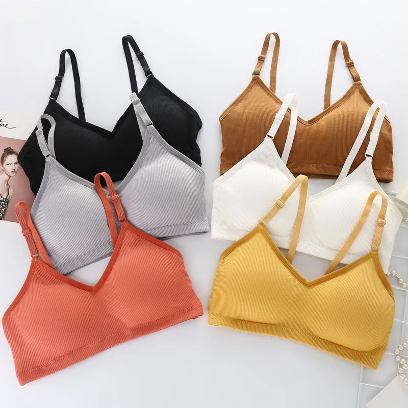 Wireless Padded Bras Women Tube Top Sexy Lingerie Wirefree Bra Removable Pads Solid Color Underwear Female Comfort Intimates
