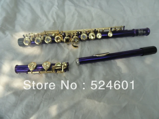 Hot Professional Student Purple Silvering Grant 16 Hole C Metal Flute Plus the E Key Obturator Flauta Musical Instruments 271S