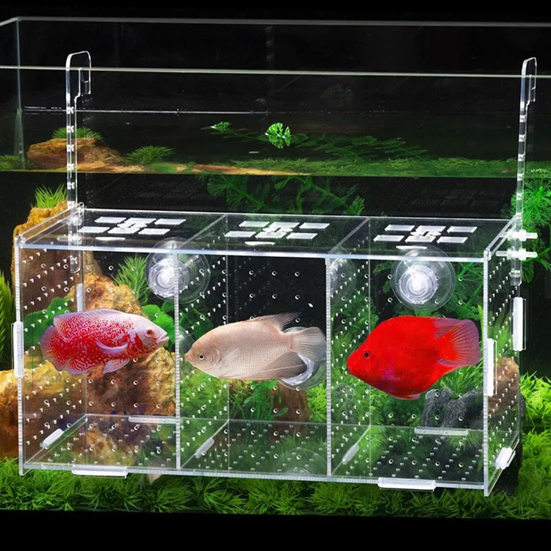 Large Size Small Fish Isolation Box Acrylic Double Grid Breeding Box Hook Type Aquarium