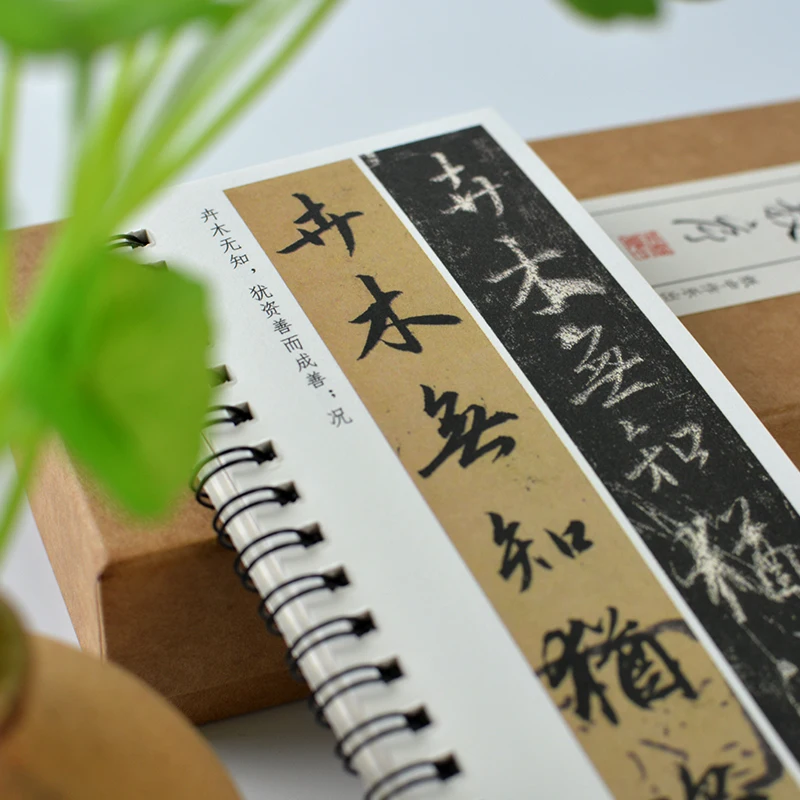 Zhao Mengfu Regular Script Copybooks Adult Running Script Calligraphy Book Potrable Beginner Basis Chinese Calligraphy Book