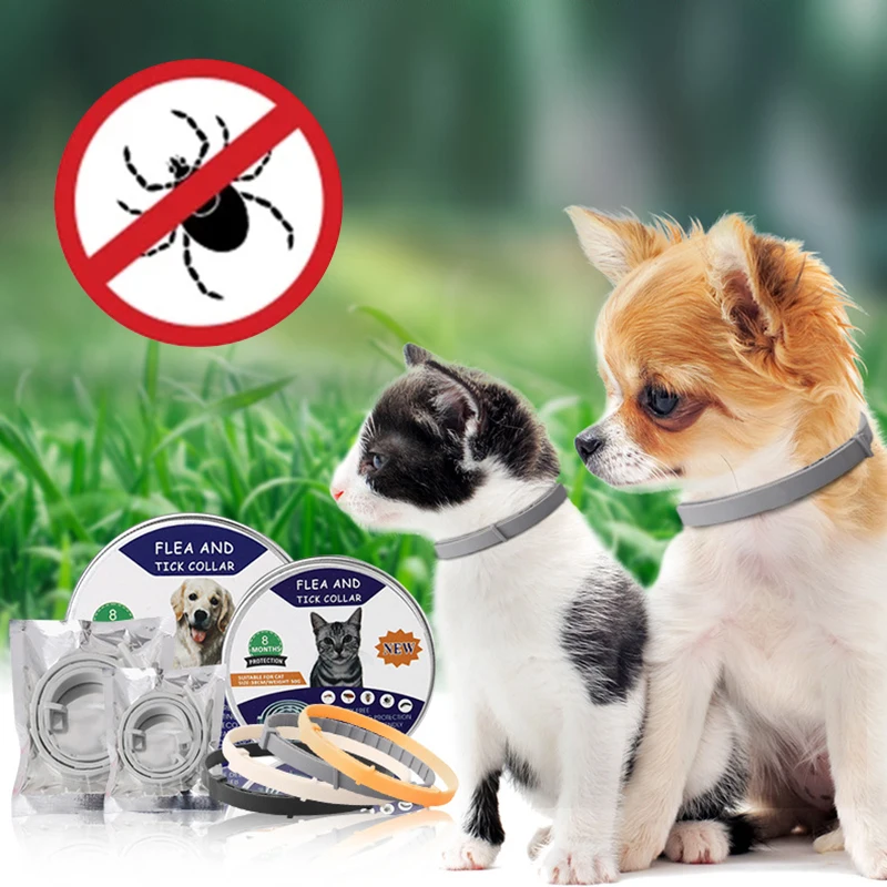 Removes Flea and Tick Collar for Dogs Cats Up To 8 Month Flea Tick Cat Dog Collar Anti-Mosquito Insect Repellent Pet Accessories