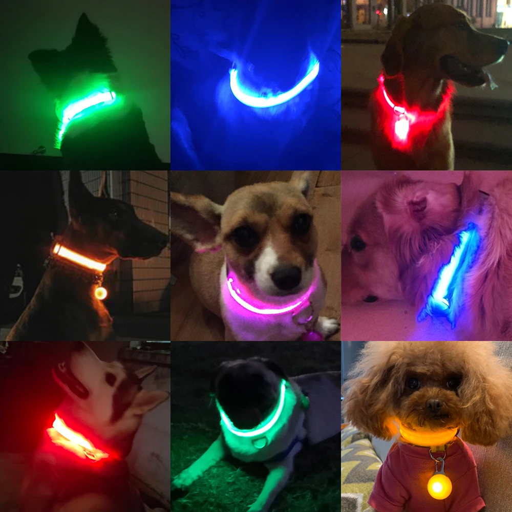 LED Anti-Lost Collar for Dogs and Cats, Flashing Collar, Puppies and Cats, Leads, Pet Supplies, Flashing, Car Accident