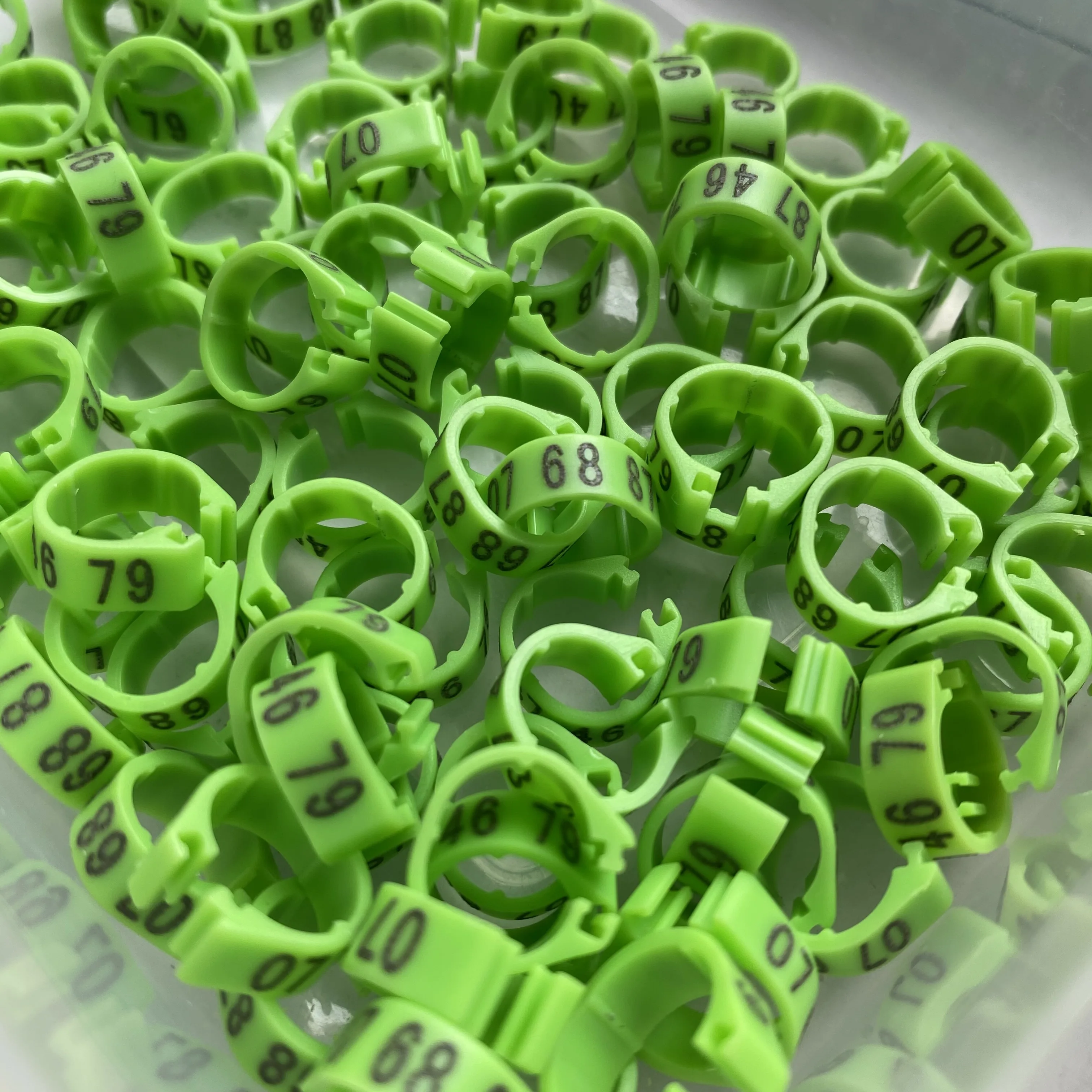 Wholesale/retail C8 8mm Bird Dove Pigeon Plastic Leg Rings Custom Plastic Lettering Rings  Black/Red/Blue/Green/Gold
