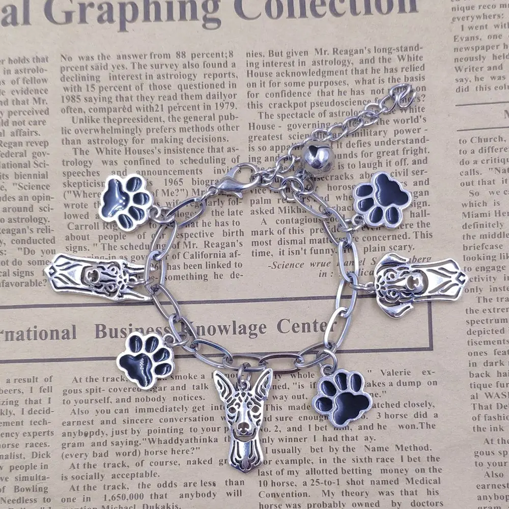 13 Styles Stainless Steel Charm Chain Bracelets  Dog Animal Men Women Poodle Bull Terrier  Rottweiler Doberman Drop Shipping