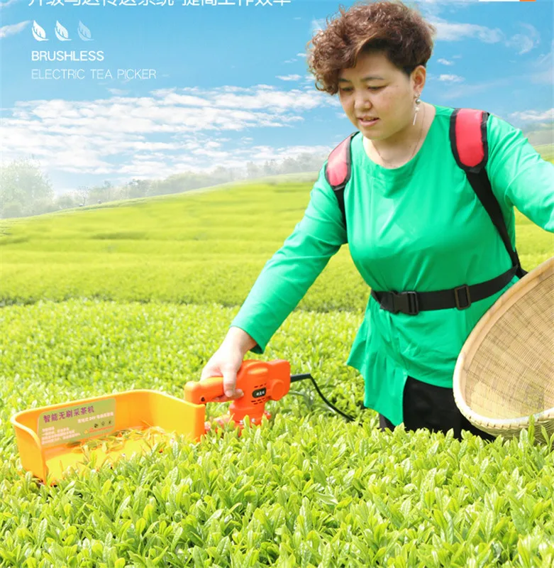 Portable electric small tea picking machine tea picking machine single portable new tea tree trimmer