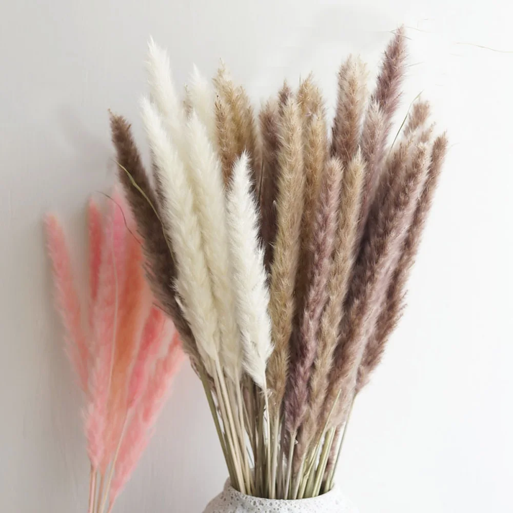 20pcs 3 color available raw&pink&white color small pampas grass Phragmites&reed flowers&bulrush flowers for wedding  decor