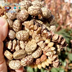 Natural Stone Irregular Wooden Bodhi Chips Oblate Spacer Loose Round Beads For Jewelry Making DIY Accessiory Wholesale 15