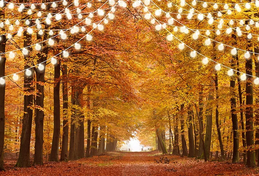 

7x5FT Autumn Forest Gold Tree Path Thanksgiving Day Custom Photo Studio Backdrop Background Vinyl 220cm x 150cm