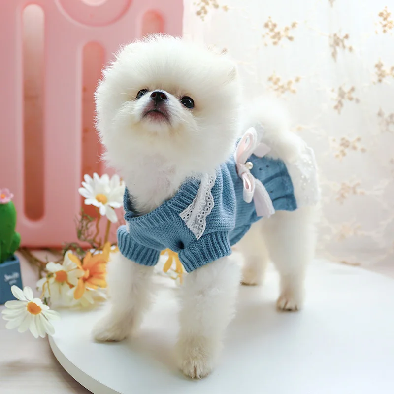 PETCIRCLE New Dog Puppy Clothes Ladies Wool Dress Pet Cat Fit Small Dog Spring and Autumn Pet Cute Costume Dog Cloth Dog Skirt