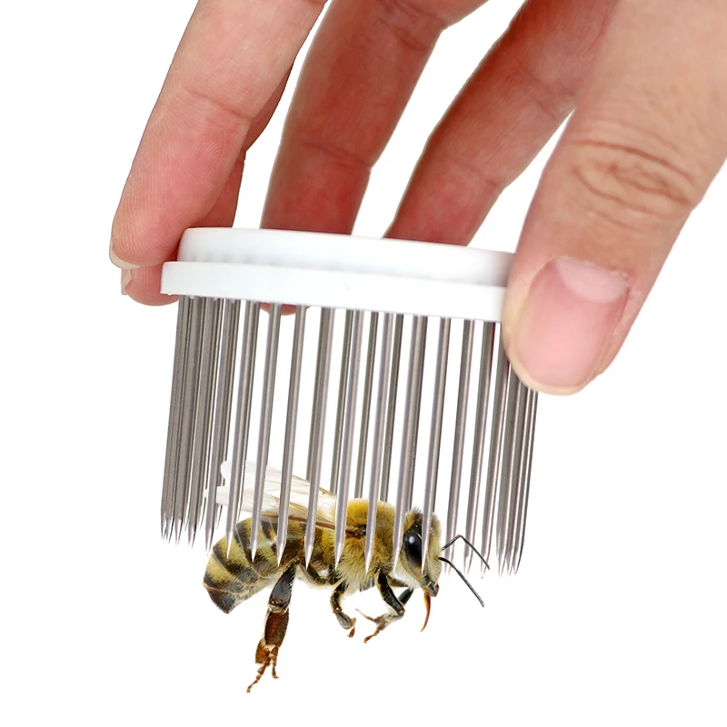 1pc Beekeeping Queen Bee Cage Stainless Steel Needle Type Catcher Rearing Cover Catcher Beekeeper Beekeeping Supplies Apiculture