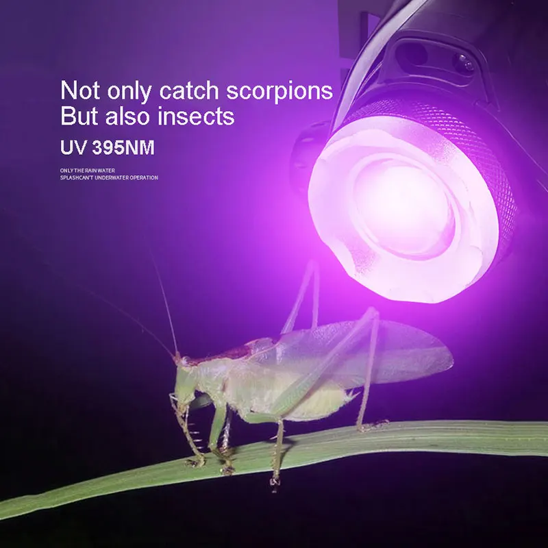 TMWT-Lumière de sauna UV LED, lumière noire, lampe de sauna, lumière en résine UV 395nm, détecteur d'urine pour animaux de compagnie, lumière de chasse au scorpion