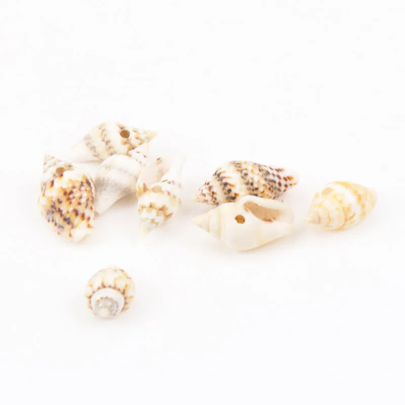 ليوبارد نمط الطبيعية دوامة صدف كونشا دو مار سجل القصاصات الحرفية لوازم للمنزل الديكور لتقوم بها بنفسك 13-16 مللي متر 50 قطعة TRS0057