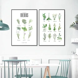 Culinary Herbs Prints Vegetable Botanical Poster Kitchen Decor , Spices Herbs Guide Wall Art Pictures Canvas Painting Decoration