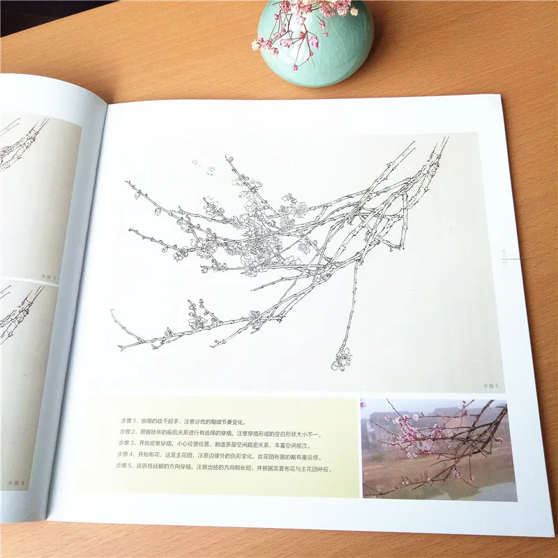 Chinese painting of plum blossom flowers plants fine brushstroke line  sketch drawing manuscript spectrum books