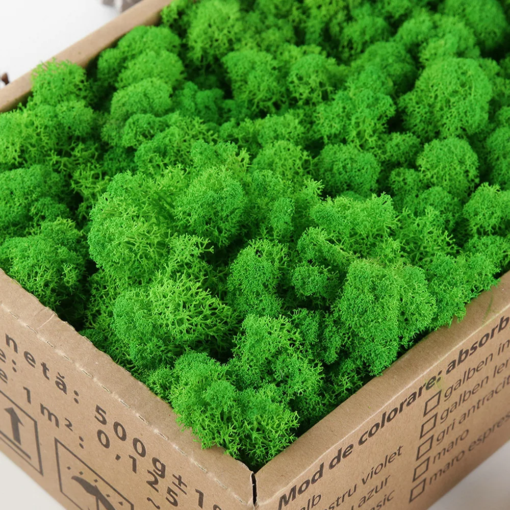 

500G Simulation Plants Eternal Life Moss Garden Home Decor Wall DIY Flower Material Mini Garden Micro Landscape Fake Moss