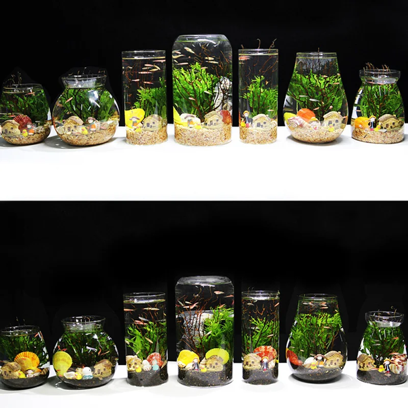 1PC Round Glass Jar Micro Landscape Empty Bottle Night Light Aquarium Fish Tank Ornaments