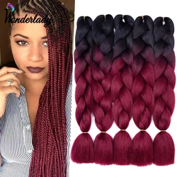 WonderLady-Extensions Capillaires Synthétiques Ombré pour Femme Africaine, Tresses de 24 Pouces, 170g, 100 Documents, DIY