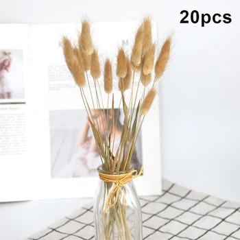 새로운 뜨거운 20Pcs 토끼 꼬리 잔디 자연 말린 꽃 홈 장식 꽃꽂이 긴 Bunches 꽃다발 소품 SMR88