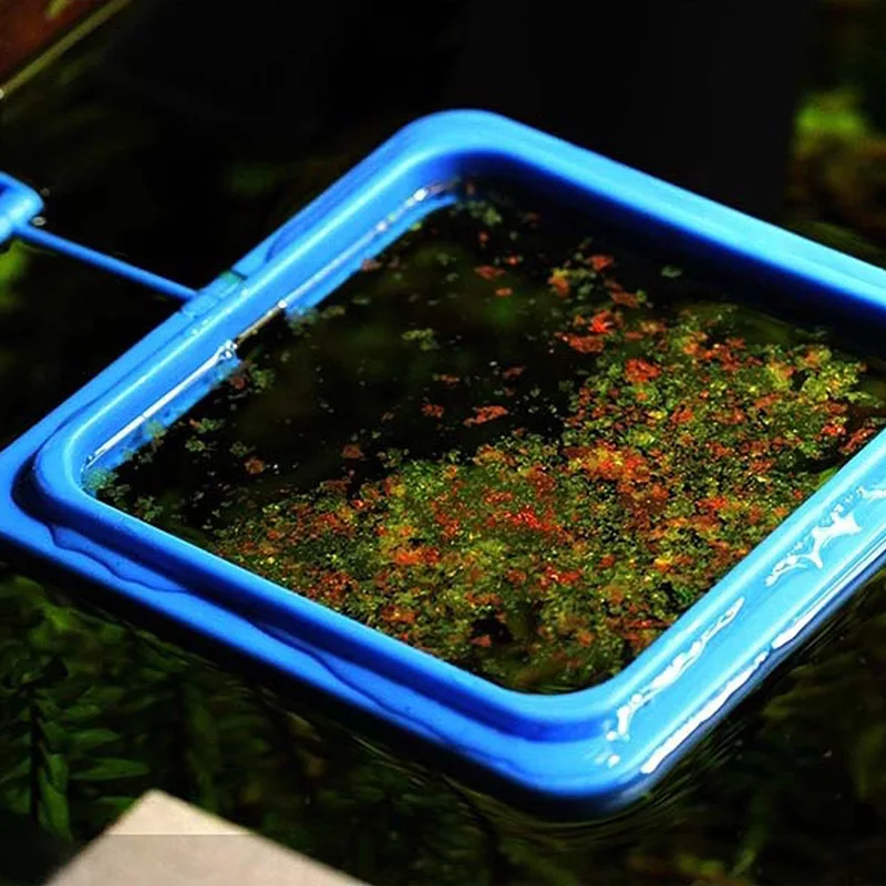 Fish Feeding Ring Aquarium Safe Floating Food Feeder for Goldfish Round Shape Suspensible Circles with Suction Cups