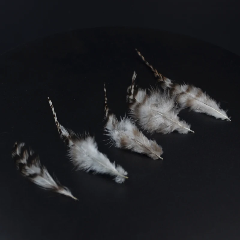 CONTEMPLATOR Hackle Gallo – Plumas rayadas para atar mosca seca - imagen 3