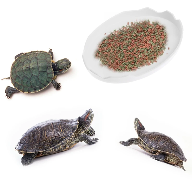 New Pet Tortoise Snake Reptile Terrarium Drinking Food Water Bowl Dish Feeder Tool