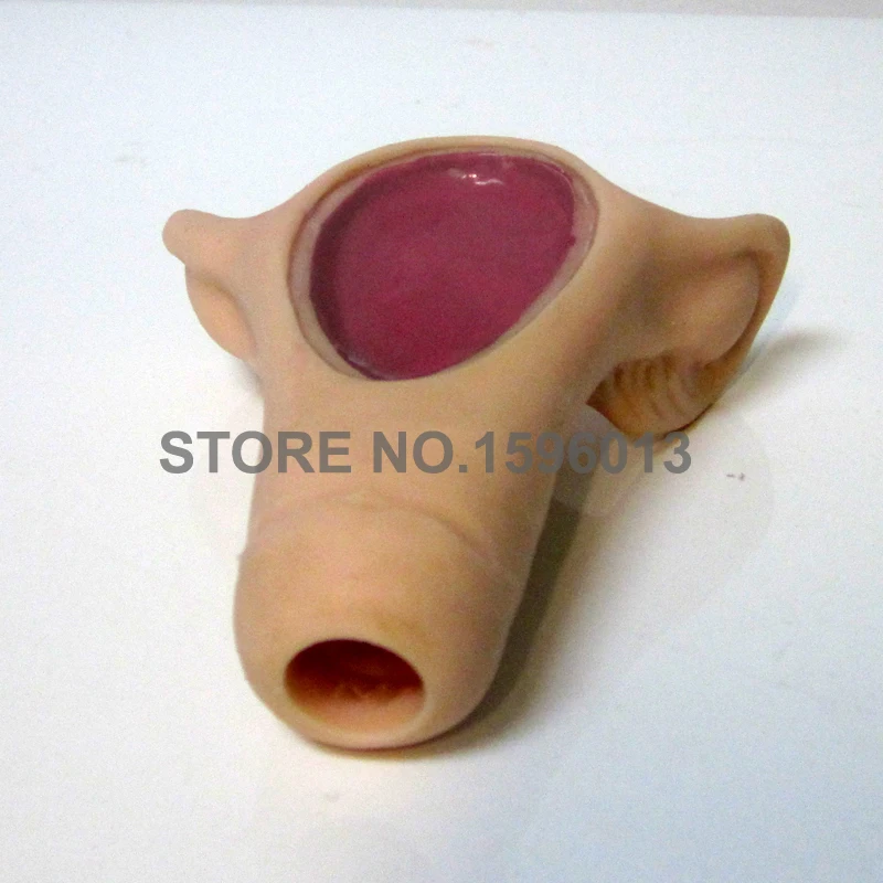 IUD Training Simulator,Intrauterine Contraceptive Device Insertion Trainer Uterus Anatomical model