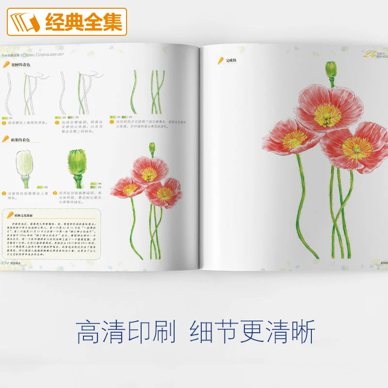 New Color Pencil Drawing Art Book 24 Kinds of Flowers Super Detailed Colored Pencil Hand-painted Tutorial Book