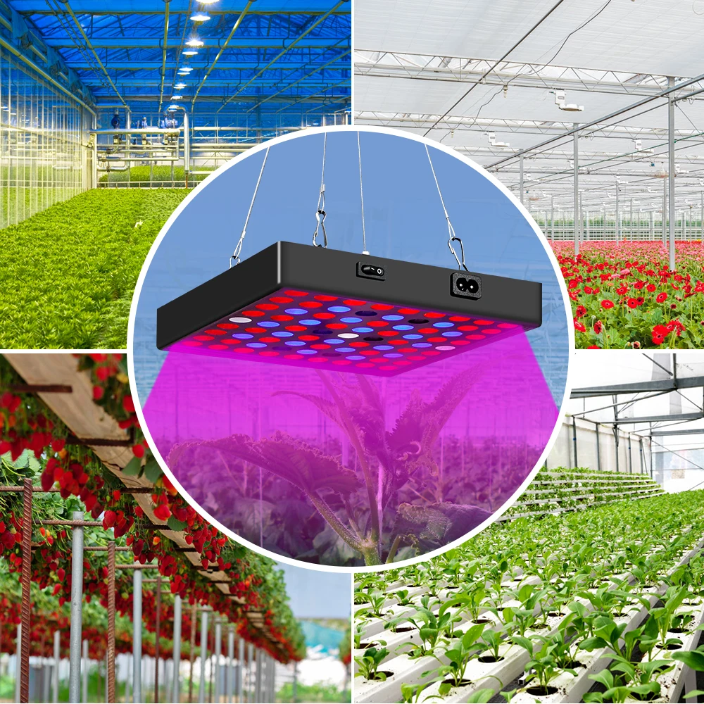 EU US UK Plug Vegetables Seed Phyto Grow Lamp LED Full Spectrum Hydroponic System Growing Light 30W 50W Seedling Fito Lampy 220V