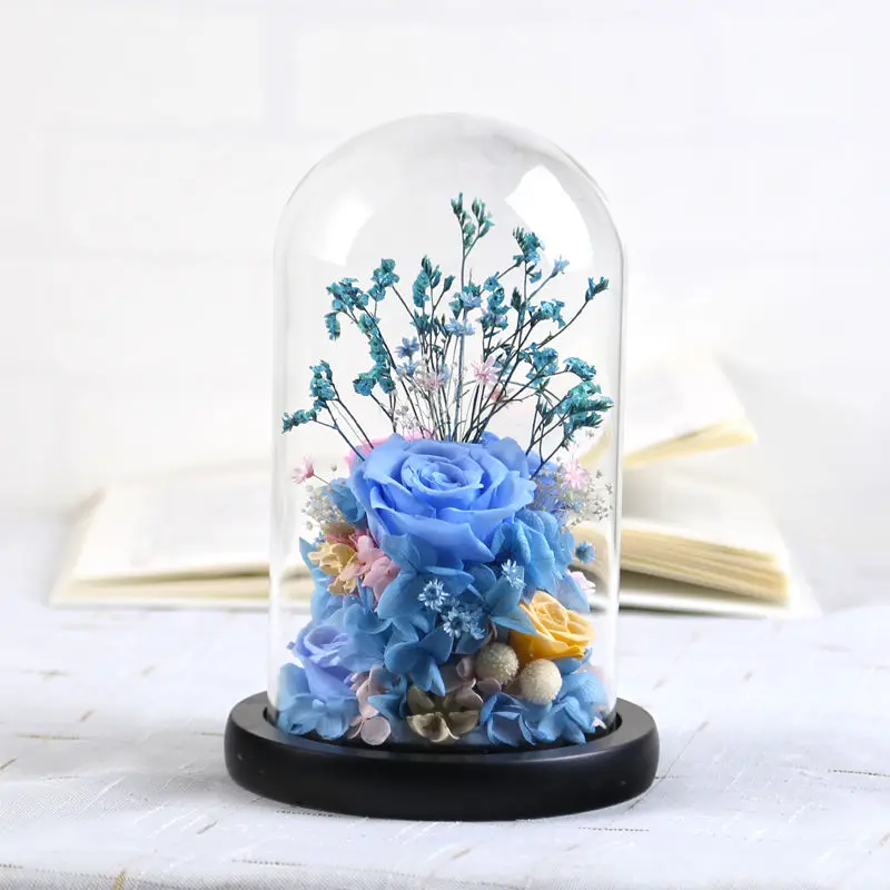 Free Shipping Diameter=12cm Different Height Glass Dome Vase Home Decoration Black Base Transparent Cover DIY Friend Gift