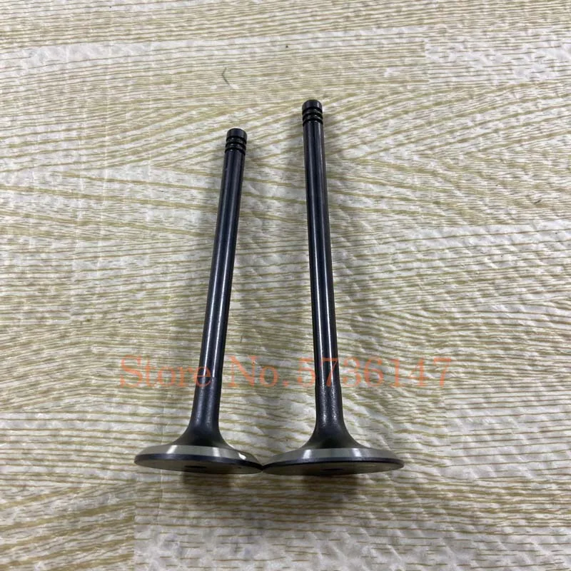 16PCS/Set Intake Exhaust Valve OEM# 90412277 90410813 For Daewoo Isuzu Rodeo Suzuki Forenza Reno Daewoo Leganza Nubira 2.0L 2.2L