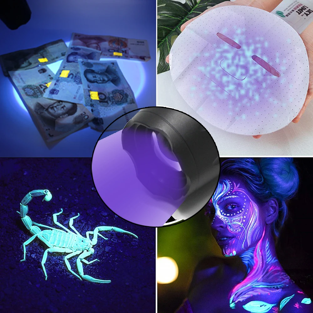 Lampe de poche UV LED 2 en 1, lanterne, torche, détecteur d'urine ultraviolette, capture d'urine d'animaux de compagnie, détection de scorpions, sécurité, tapis