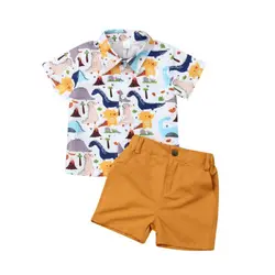 Toddler Boy Clothes 2pcs Newborn Kids Baby Boys Summer Tops T-shirt Dinosaur Pants Shorts Outfits Clothes