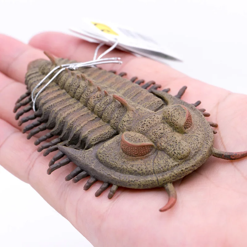 CollectA prehistoryczne zwierzęta Ocean Redlichia rex trilobite natura Model edukacyjny pcv z tworzywa sztucznego rysunek #88906