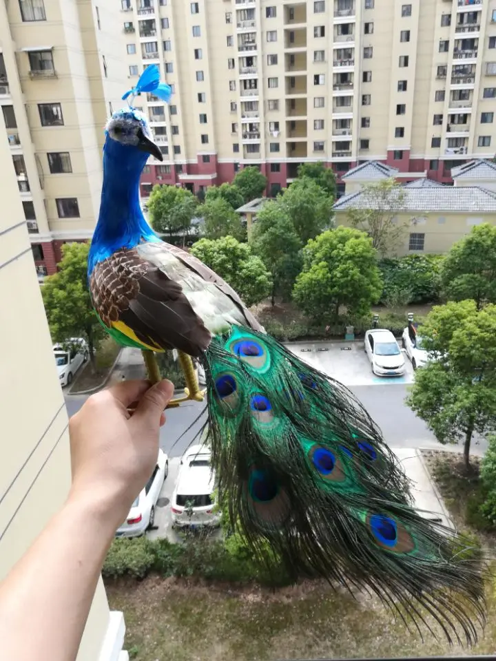 new cute real life peacock model foam&feather turned simulation peacock gift about 45cm xf2655