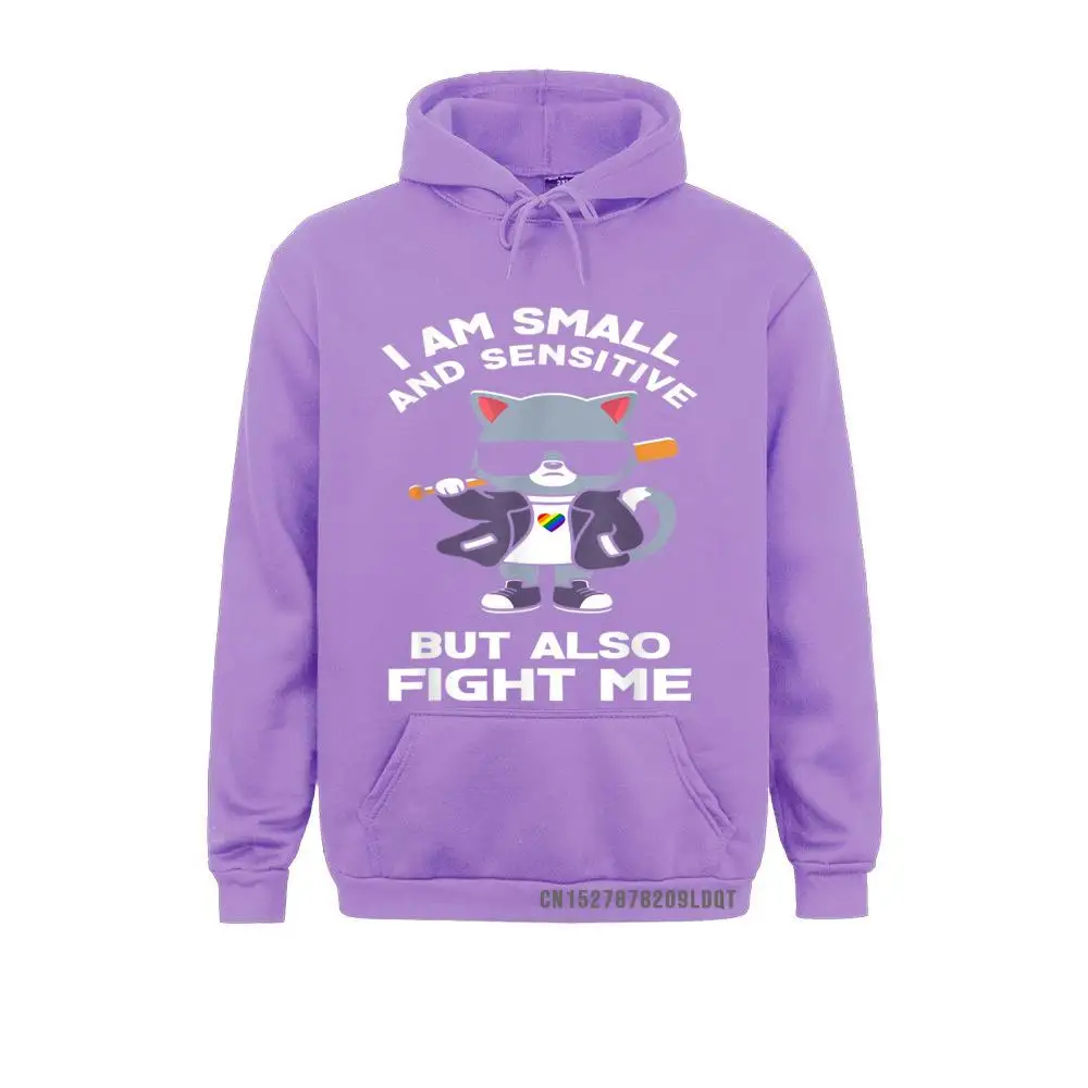 Men/Women Graphic Hoodies Fall Sweatshirts Winter Long Sleeve I Am Small And Sensitive But Also Fight Me LGBT Pride Cat Clothes