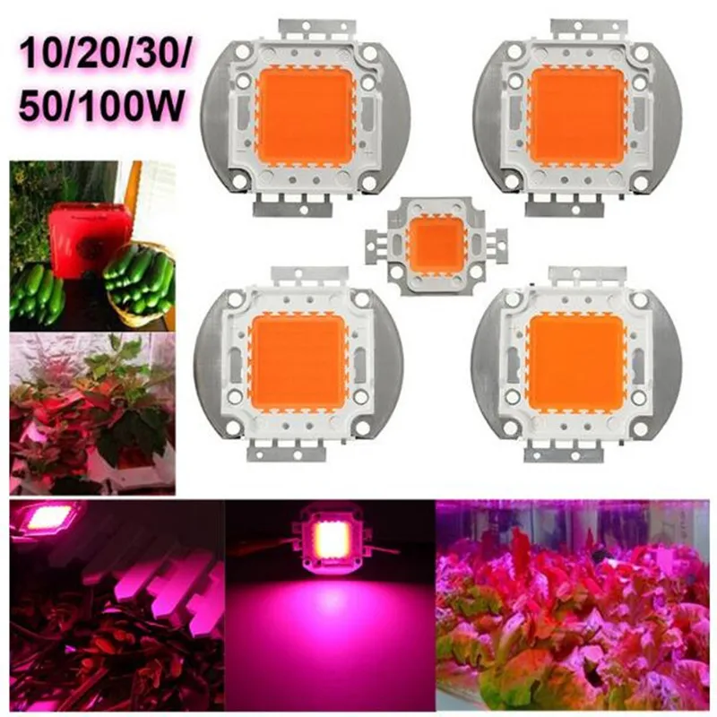 Imagem -05 - Led Full Spectrum Plant Grow Chip Módulo de Lâmpada de Alta Potência Luz de Inundação 400840nm 10w 20w 30w 50w 100w Pcs