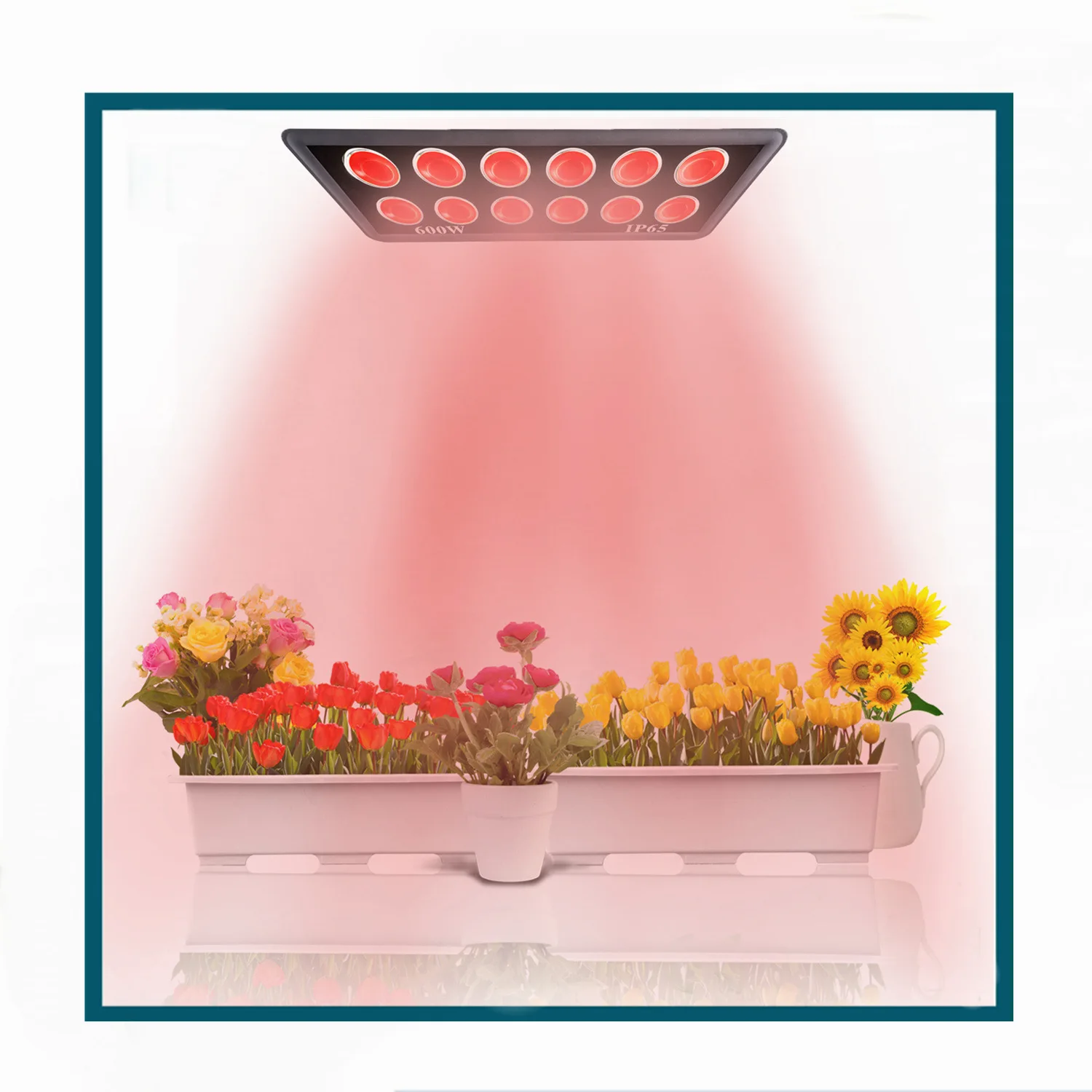 Iluminación LED exterior de espectro completo, reflector de 600W, IP67, 110V, 220V, para cultivo de plantas en invernadero de interior