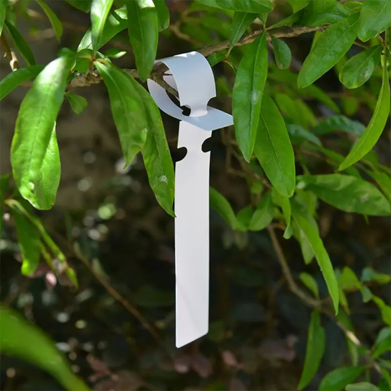 100 Stuks Wit Plastic Plant Boom Tags Kwekerij Labels 2X20Cm Wrap Rond Opknoping Tags Nursery Tuin stakes Grote