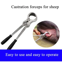 1SET Sheep Goat Ram Bloodless Castration Emasculate Plier Clamp Castration Pincer Forcep Stainless Steel Veterinary Equipment