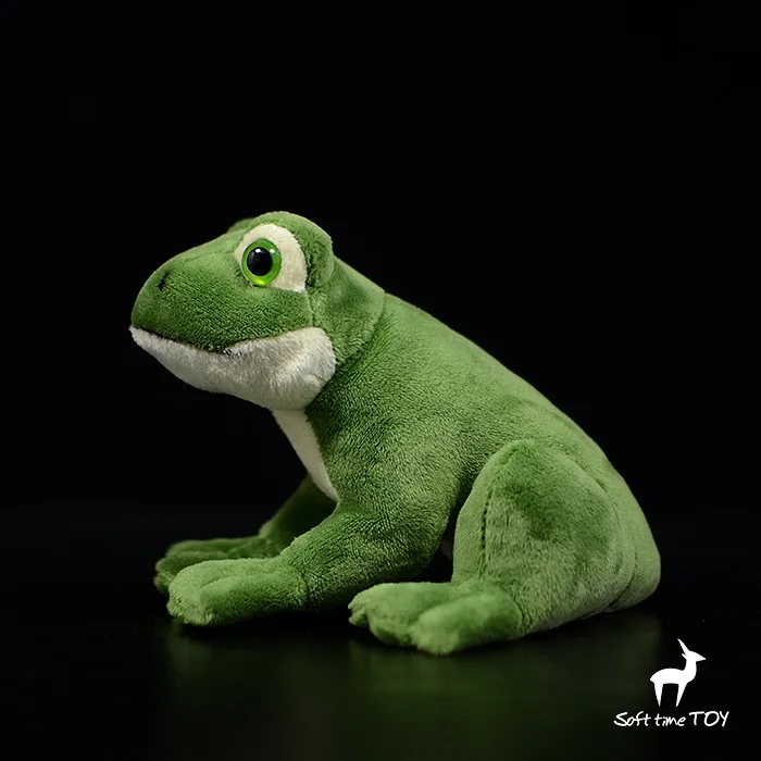 nuovo giocattolo rana peluche simulazione rana 16 cm bambola morbida giocattolo per bambini decorazione regalo di compleanno h1980