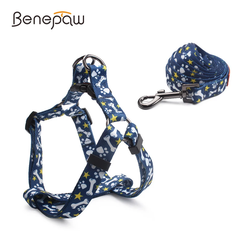 Benepaw Quality No Pull Dog Harness And Leash Set Adjustable Comfortable Step In Puppy Pet Harness For Small Medium Dogs