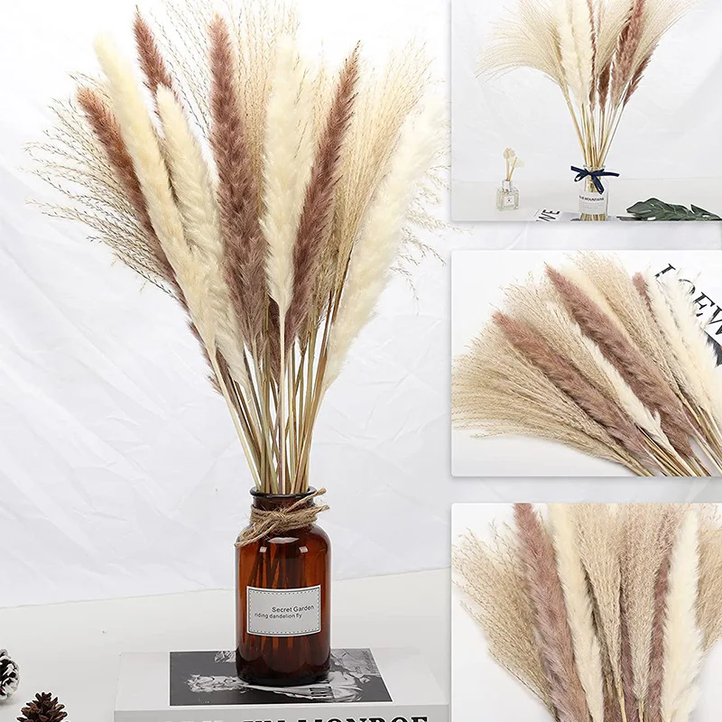 

Phragmites Dekoration Natural Pampas Grass Bouquet For Room Reed Flowers Home Decor Wedding Decoration Communis Lagurus Ovatus