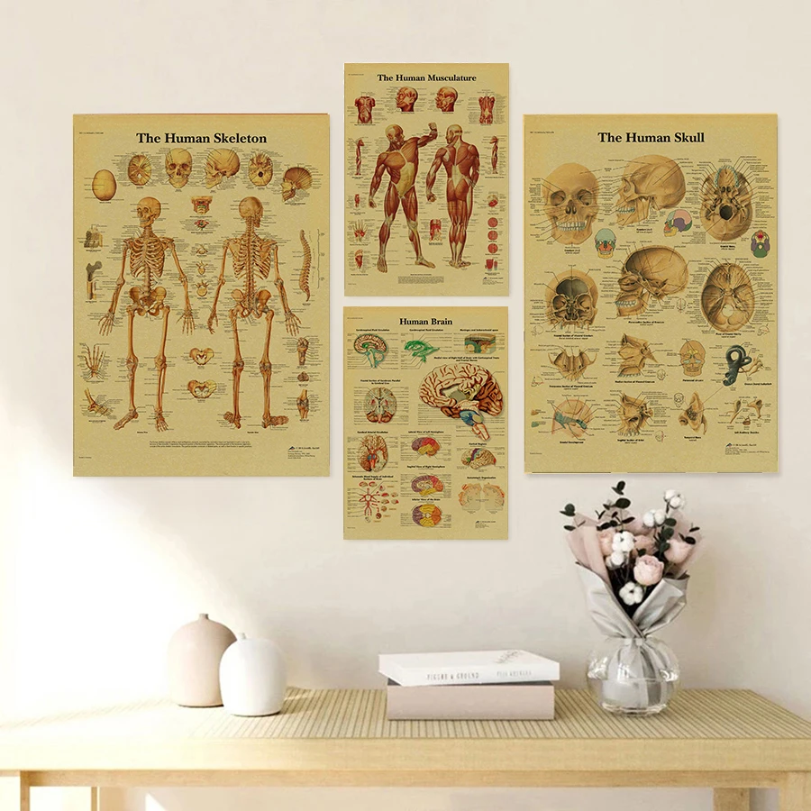 Anatomy and Physiology The Body Structure Poster Skeleton Retro Kraft Paper Sticker Vintage Room Medical Decor Art Wall Painting