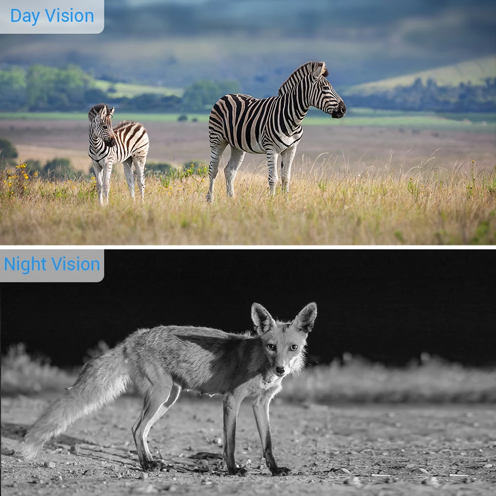 4K 30FPS Canlı Video APP Takip Kamerası Bulut Hizmeti 4G Hücresel Mobil 30MP Kablosuz Yaban Hayatı Avcılık Kameraları Fotoğraf Tuzakları