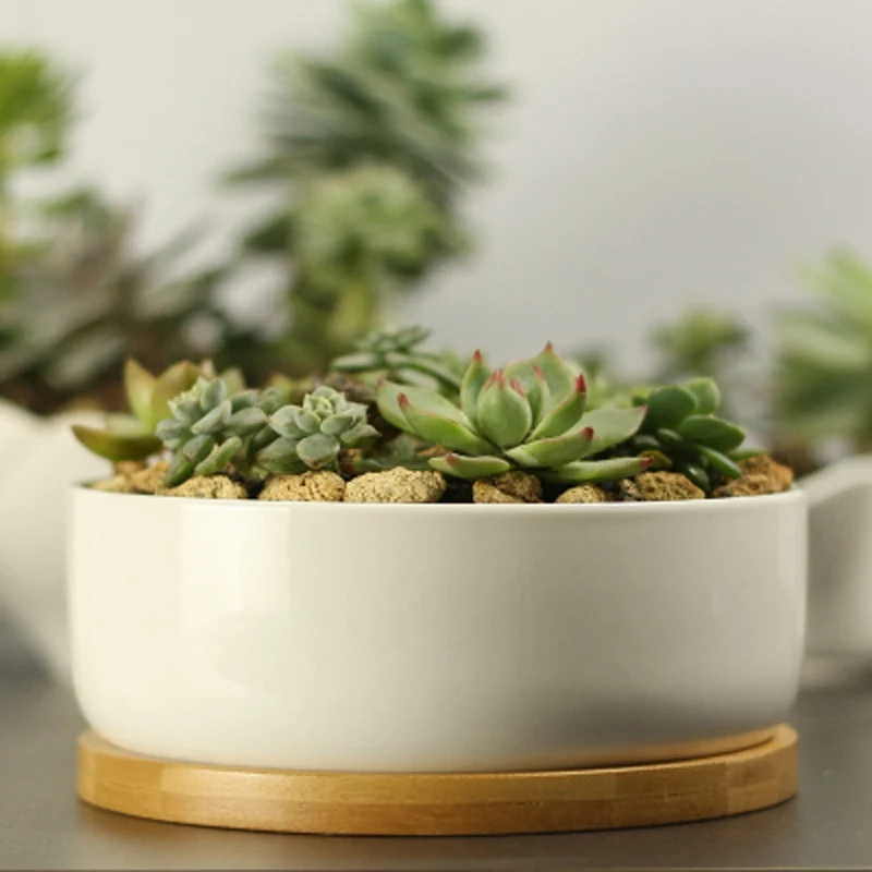 Ceramic Succulent Plant Pot, White Porcelain, Deep Rounded Flower Pot with Bamboo Tray, Office Desktop Table, Bonsai Zakka