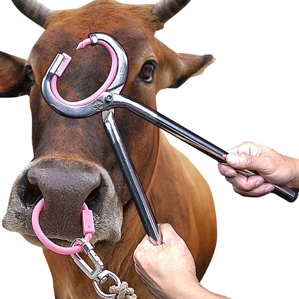 High Performance Livestock farm tool Stainless Steel Cattle Calf Leaders Nose Ring Installation Pliers Bull Holder ox Nose Plier