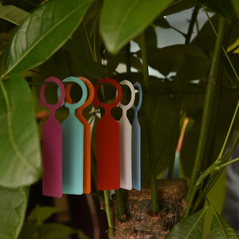 50PCS ใหม่พลาสติกแท็กเนอสเซอรี่ Garden แหวนฉลากหม้อ Marker Stake แขวนหมวดหมู่เรือนกระจกบอนไซคอหมวดหมู่